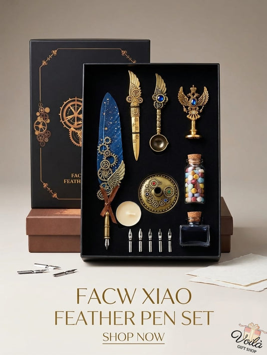 Facw Xiao feather pen set with decorative items in a black box on a beige background